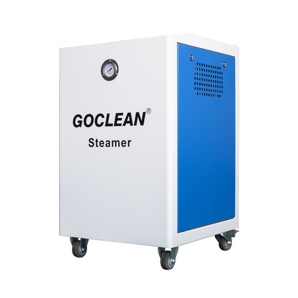 Handheld Professional Interior Steam cleaning machine