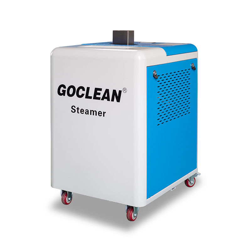 Portable Hot Automotive Steam cleaning machine